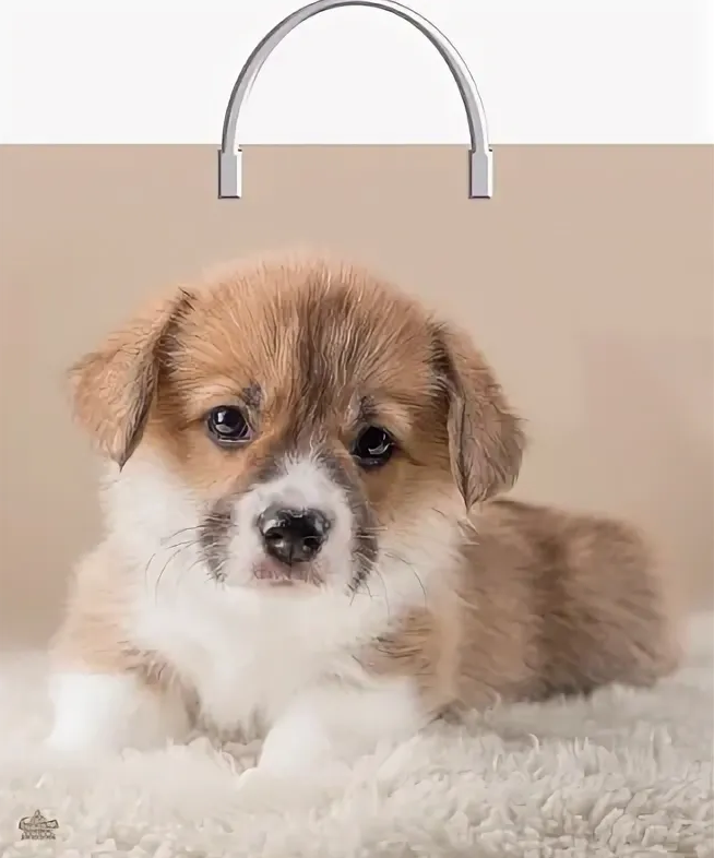 02151f150a6c11eeb7d5bd038b969ae0_4678dfb9149211eeb7d5bd038b969ae0