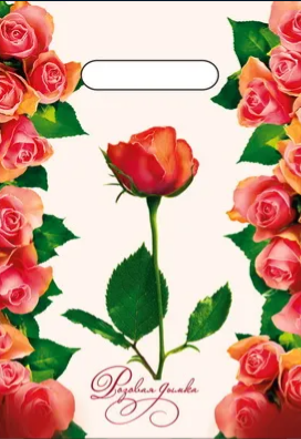 856267afa8fa11eda6e4e0d55e08c404_3caf1daab0de11ed93e1e0d55e08c404