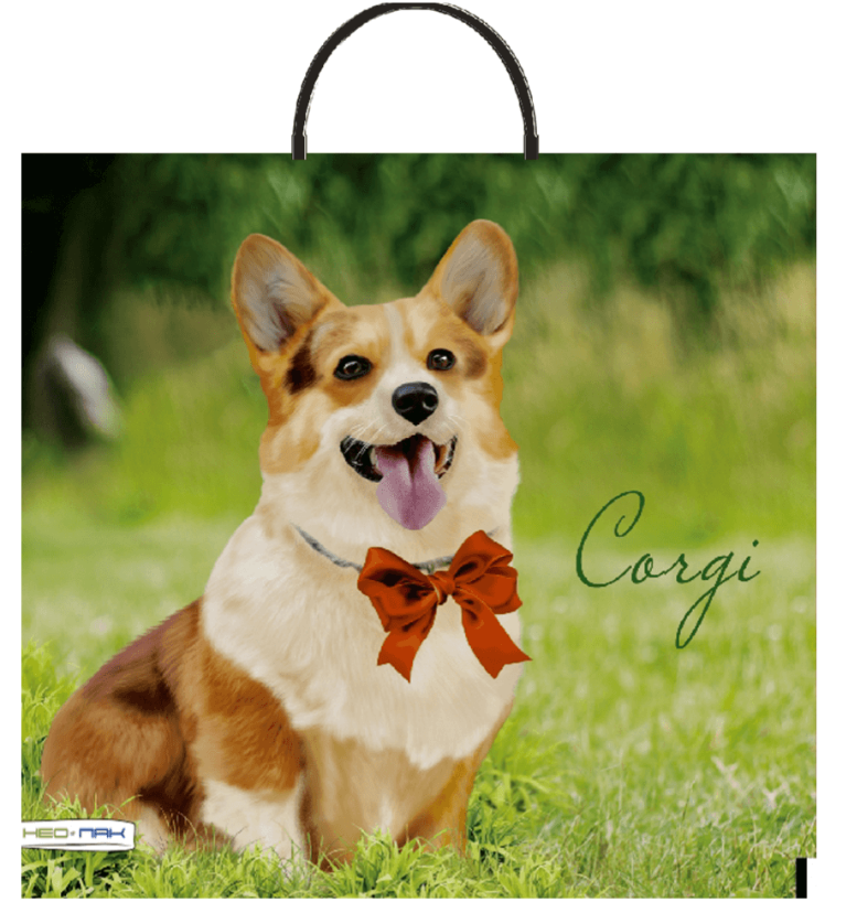 99e0e2a30c3811efb7f2c21f6ca2776d_162a10570d1011efb7f9dd21ca974ede