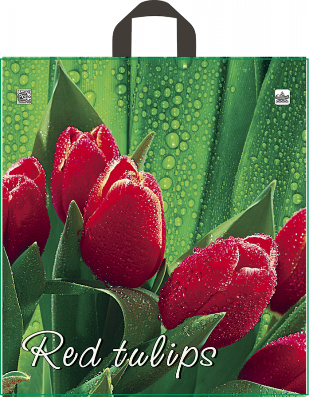 e90625548e0411ecb45a94de80fd41b3_d5b49c1092d111ec9a7fe0d55e08c404