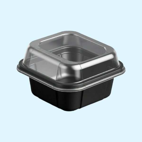 Контейнер прямоугольный пэт