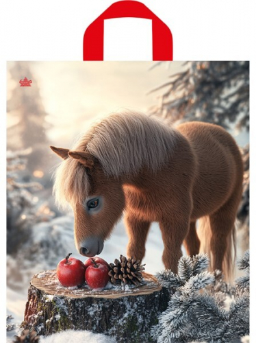 Пакет птл новый год